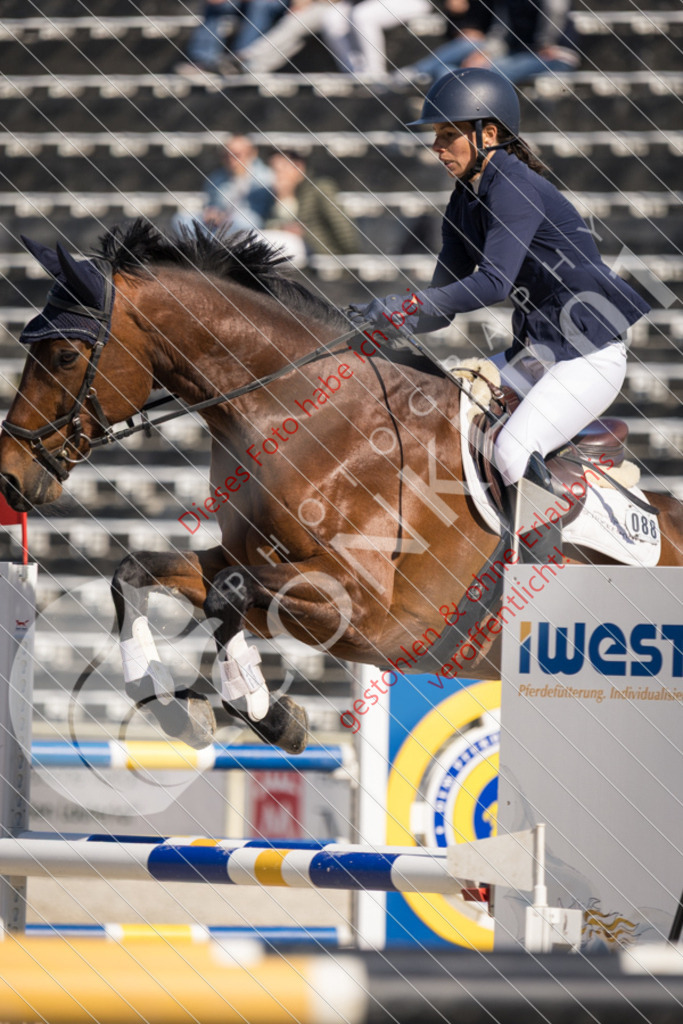 IMG_3696 | Sport-, Event- und Tierfotos in Profiqualität. Einfach auswählen, bestellen und herunterladen. Dein Moment – perfekt festgehalten.
