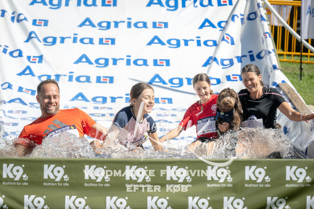 1147_ZZ94066 | kk-dogfotos