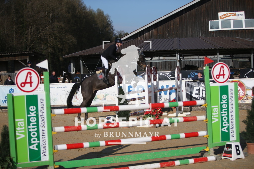 AS8V4991 | Willkommen bei Brunnmayr - Design & Fotografie – Ihrem Spezialisten für Reitturniere und Pferdeveranstaltungen in Oberösterreich, Salzburg und Bayern! Seit über 17 Jahren sind wir leidenschaftlich dabei.