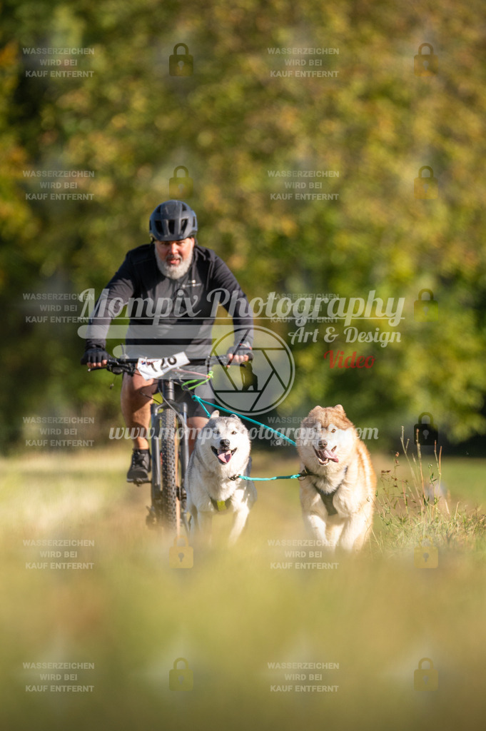 CDLBDB_15_10_2023_Dimanche-336 | mompixphotography