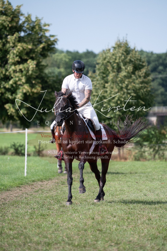 DSC_1004 | Pferde- und Turnierfotografie in Westsachsen. Pferdeportraits, Auftragszeichnungen und intuitive Kunst.