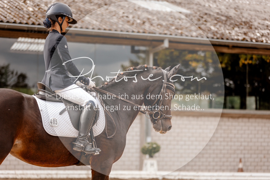 3I6A7473 | Stimmungsvolle Portraits und Reitsportfotografie im Ruhrgebiet und im Münsterland.

Pferdefotografie, Hundefotografie, Tierfotografie, Reportagen, Portraits von Tier und Mensch, Turnierfotografie in Bochum, Recklinghausen, Marl, Haltern am See, Dülmen.. - Realisiert mit Pictrs.com