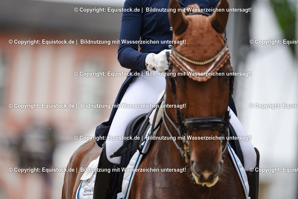 20250608_03_GP-Special-Tour_0116 | Foto: Thomas Hartig
