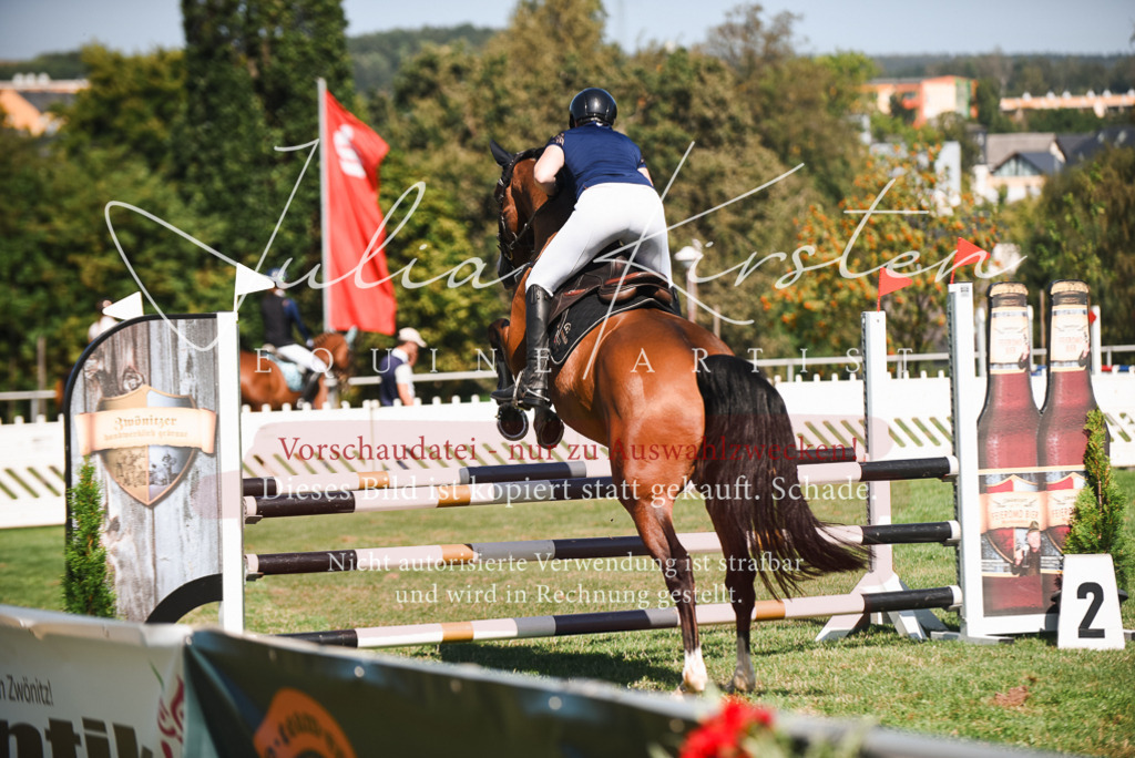 DSC_2791 | Pferde- und Turnierfotografie in Westsachsen. Pferdeportraits, Auftragszeichnungen und intuitive Kunst.