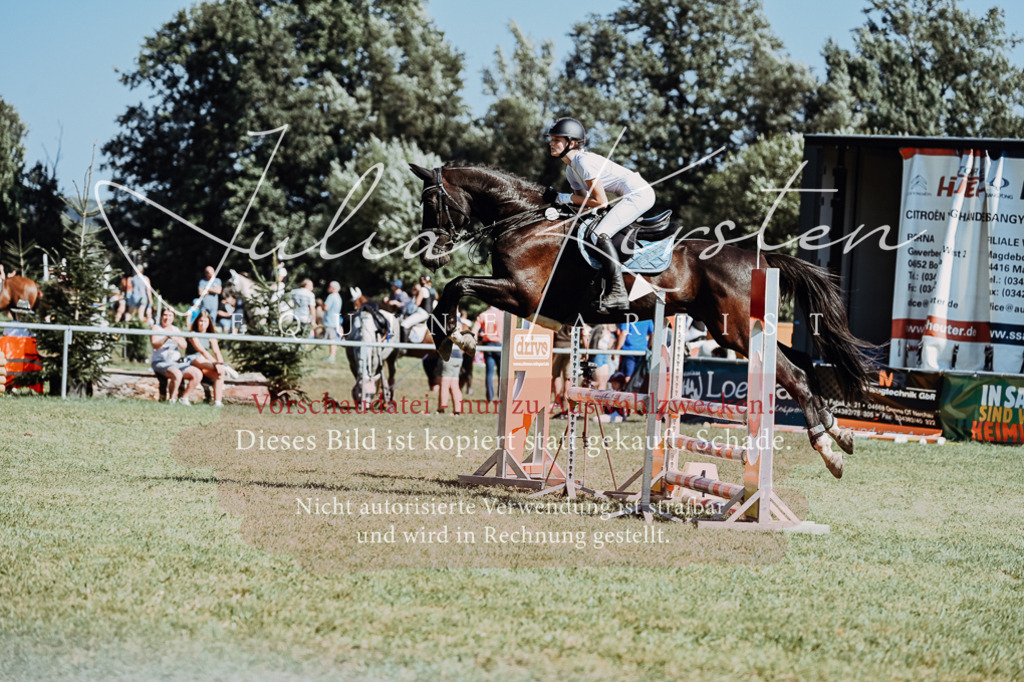 DSC_6674 | Pferde- und Turnierfotografie in Westsachsen. Pferdeportraits, Auftragszeichnungen und intuitive Kunst.