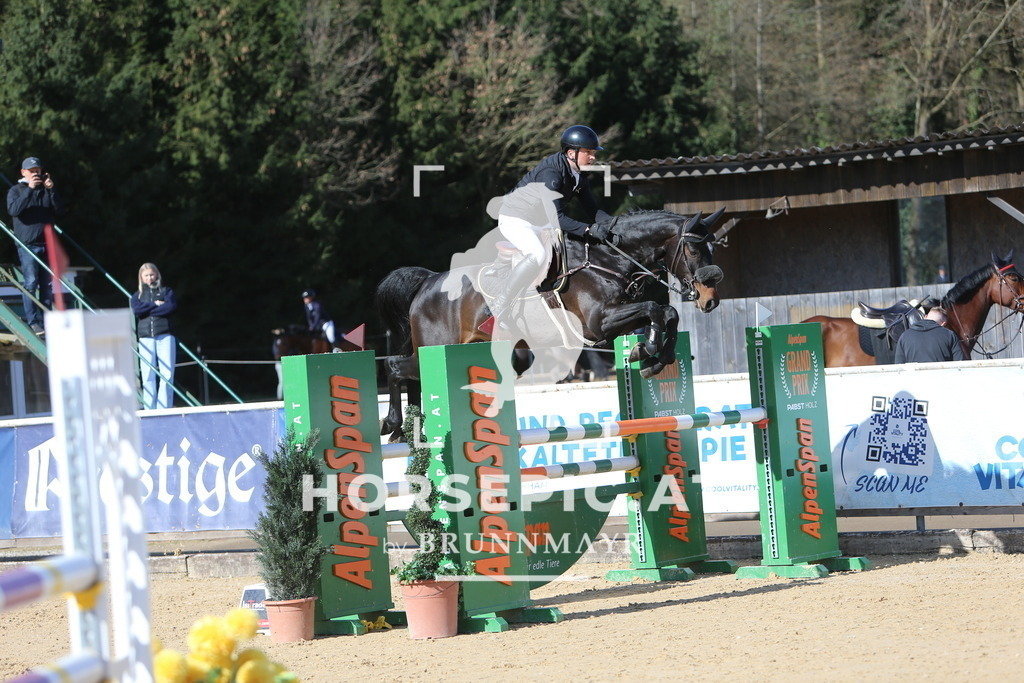 DL2Q4018 | Willkommen bei Brunnmayr - Design & Fotografie – Ihrem Spezialisten für Reitturniere und Pferdeveranstaltungen in Oberösterreich, Salzburg und Bayern! Seit über 17 Jahren sind wir leidenschaftlich dabei.