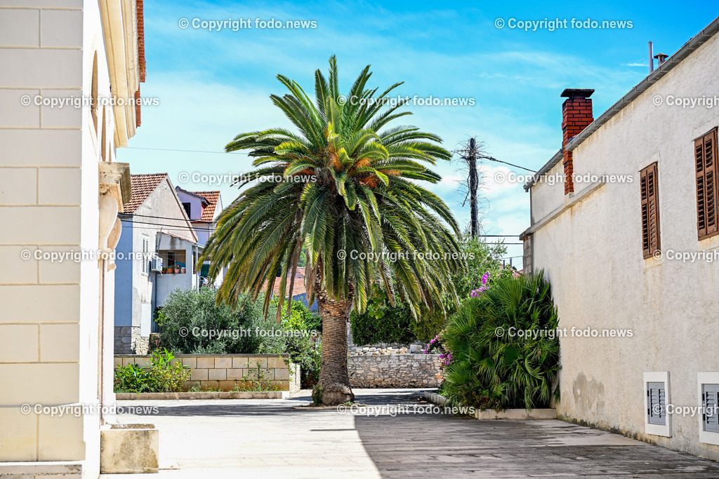 Kroatien_ Korcula_ Insel in Sueddalmatien_ Vela Luka_ 10.09.2024-34 | 10.09.2024, Kroatien, HRV, Korcula, Insel in Sueddalmatien, Vela Luka im Bild Hafen, Hafenansichten, Boot, Boote, Schiff, Schiffe, Gebauede, Adria, Meer, StadtansichtenVela Luka, woertlich Großer Hafen ist ein kroatischer Hafenort auf der Insel Korčula in der oestlichen Adria. Quelle: Wikipedia