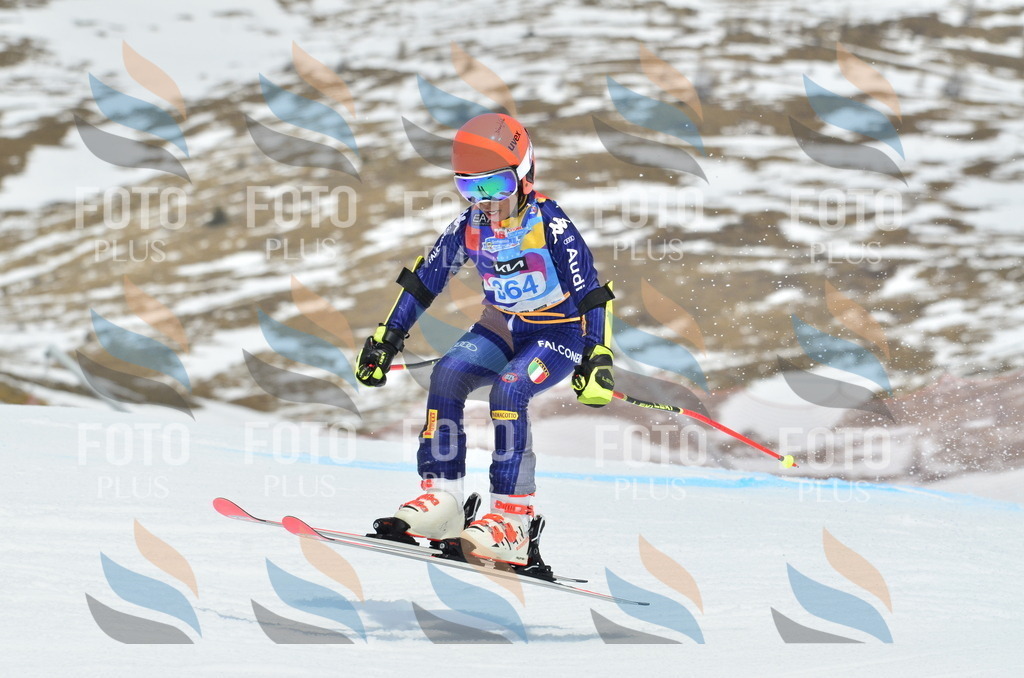 _ELE2913 | holidayphoto