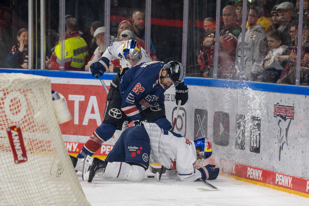 DEL, Deutsche Eishockey Liga Saison 2024/25, 33. Spieltag: Kölner Haie gegen Red Bulls München | 11.10.2024, DEL, Deutsche Eishockey Liga Saison 2024/25, 33. Spieltag: Kölner Haie gegen Red Bulls MünchenBild: Alexandre Grenier (82, Köln) und Jakob Weber (22, München) im Zweikampf - Realisiert mit Pictrs.com