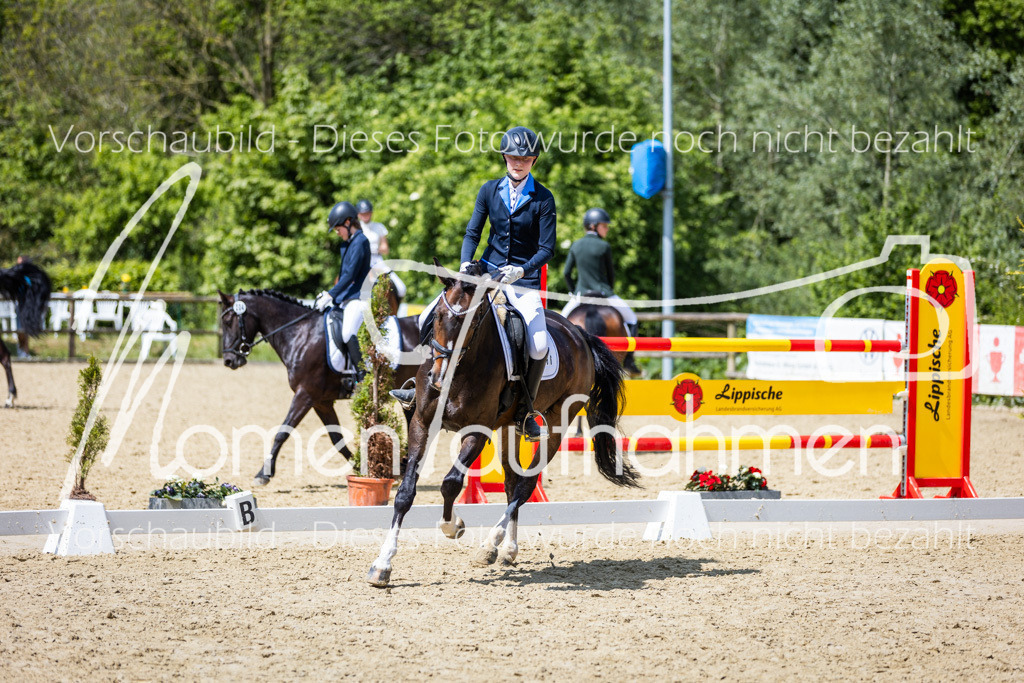 Donop24-EDre-027 | MomenTaufnahmen Pferdesportfotos