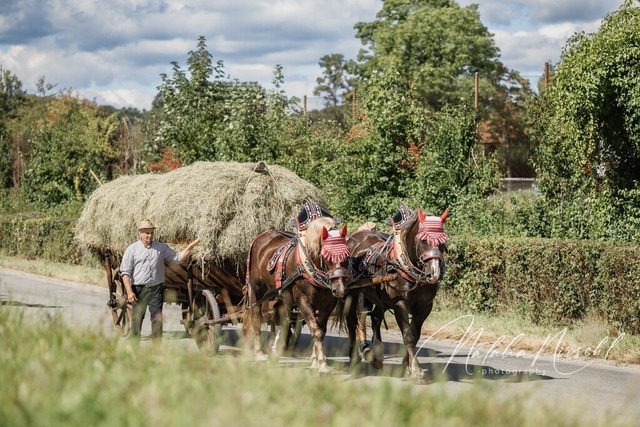 7V6A1806 | natalia-nirschl-photography