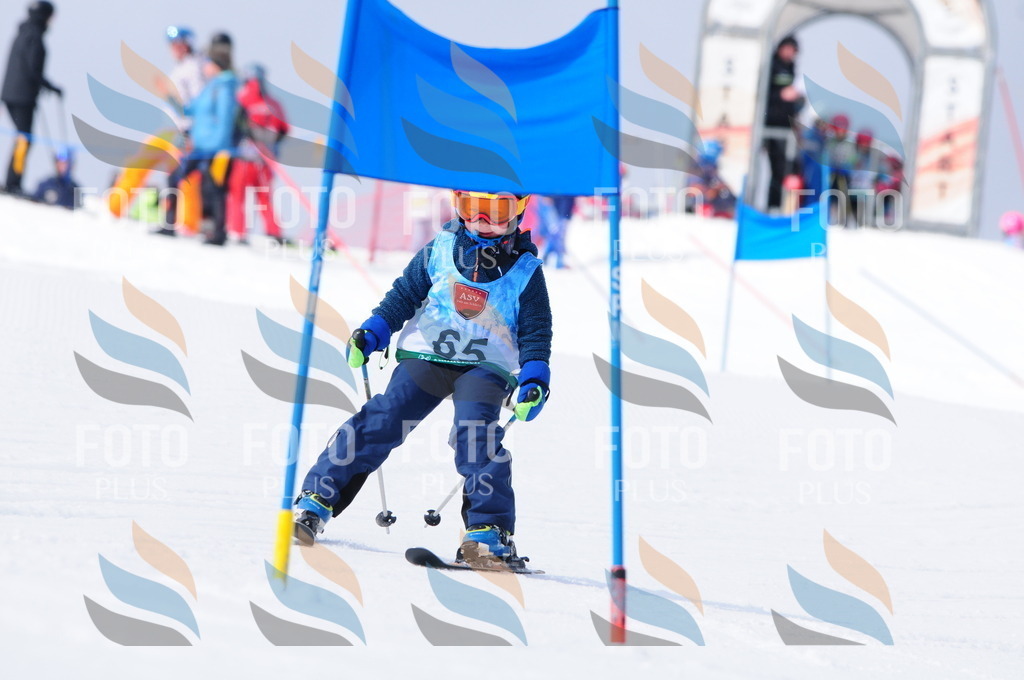 A3630 | holidayphoto