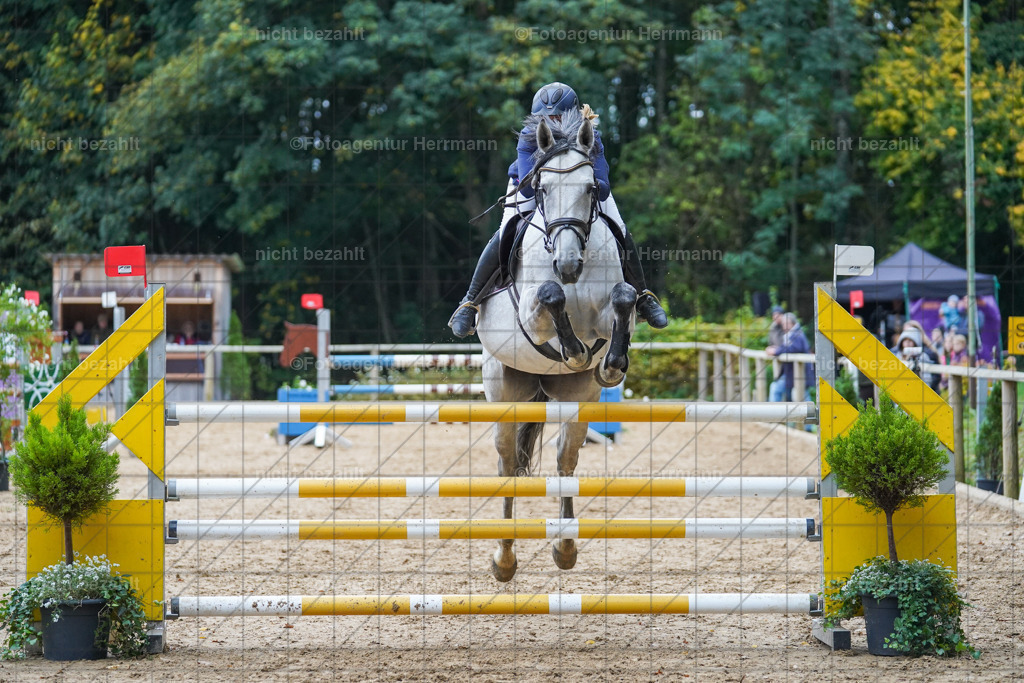20221009-FAH08960 | Diessen am Ammersee, 2022, Dressur- und Springturnier, Reitsportbilder, Turnierfotografen Bayern, Pferdefotografen, Fotoagentur Herrmann, Turnierbilder
