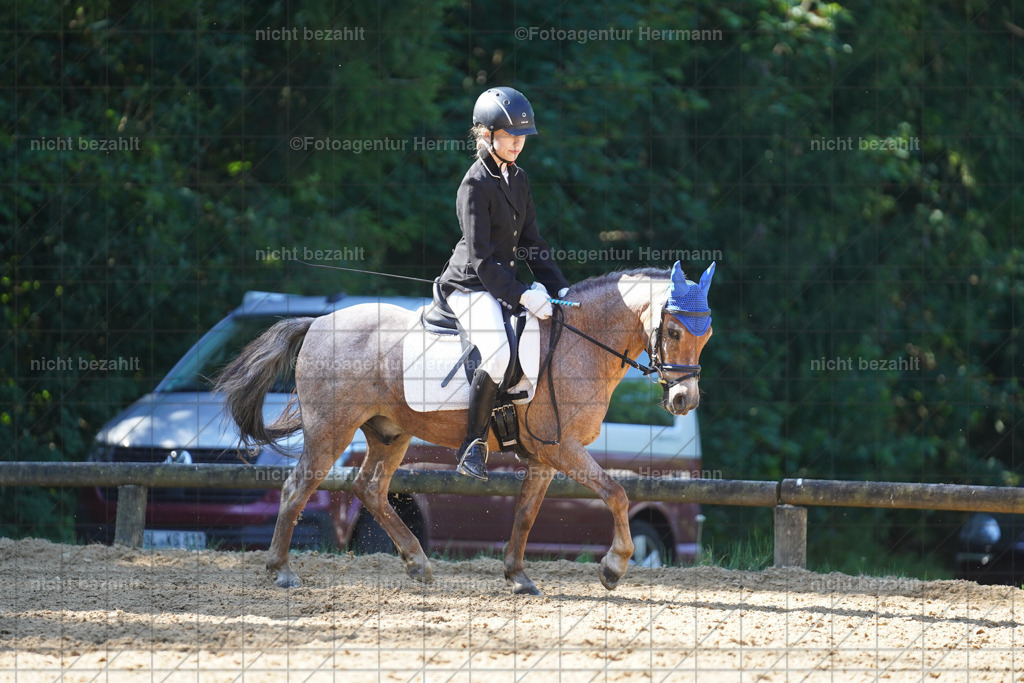 20240706-FAH04730 | Grafing Turnierfotos, Reitverein Ebersberg, Turnierfotografen Bayern, reitsportbilder, Pferdefotograf, reitsportfotograf, Sportbilder, Reitsportfotografie, Fotoagentur Herrmann, Turnierfotograf