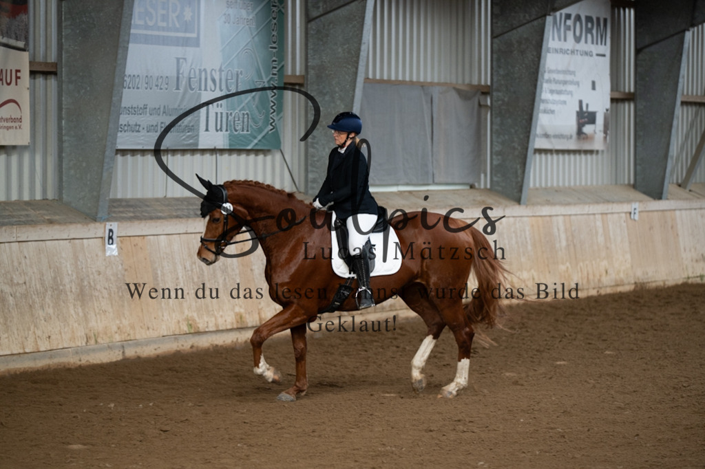 A7V04833 | Pferdefotograf