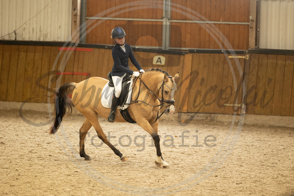 994A4927 | sabrinanicolaifotografie - Realisiert mit Pictrs.com