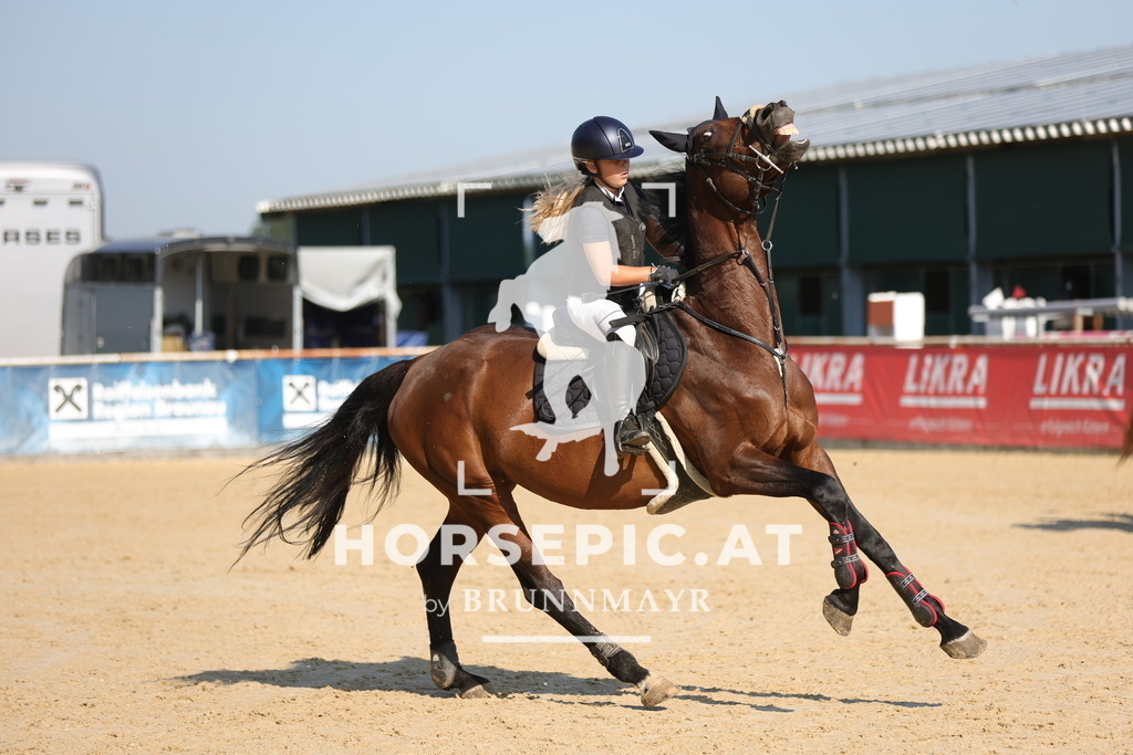 0P6A4769 | Willkommen bei Brunnmayr - Design & Fotografie – Ihrem Spezialisten für Reitturniere und Pferdeveranstaltungen in Oberösterreich, Salzburg und Bayern! Seit über 17 Jahren sind wir leidenschaftlich dabei.