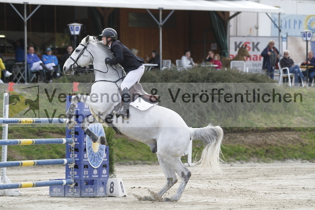 _MG_1146 | equestrian-live-com