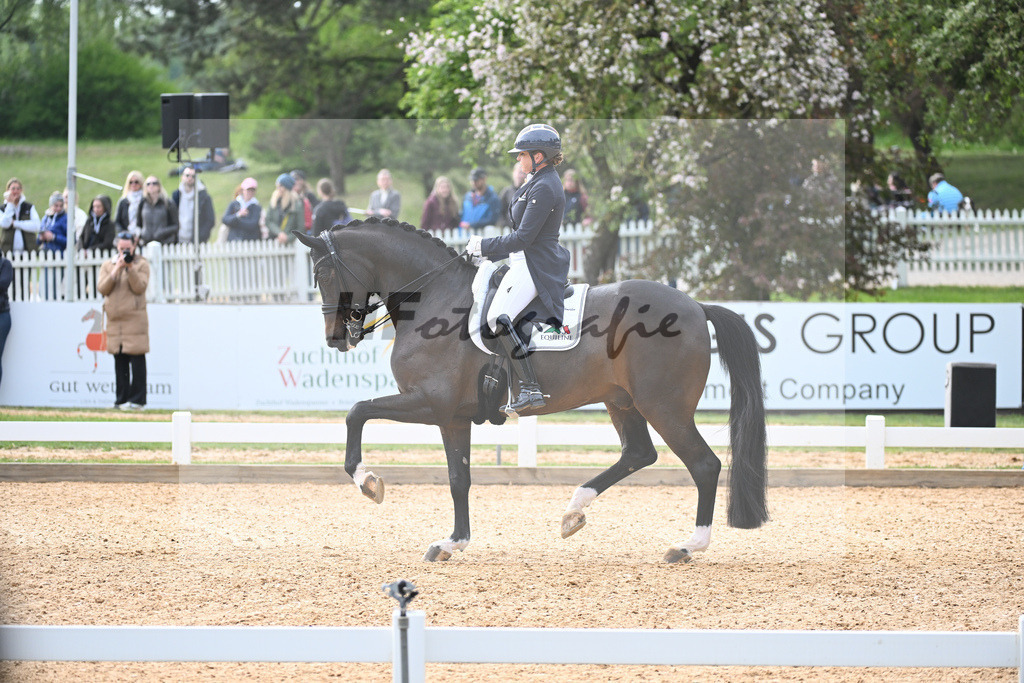 Schneider_First Romance_11232929 | hf-fotografie - Realisiert mit Pictrs.com