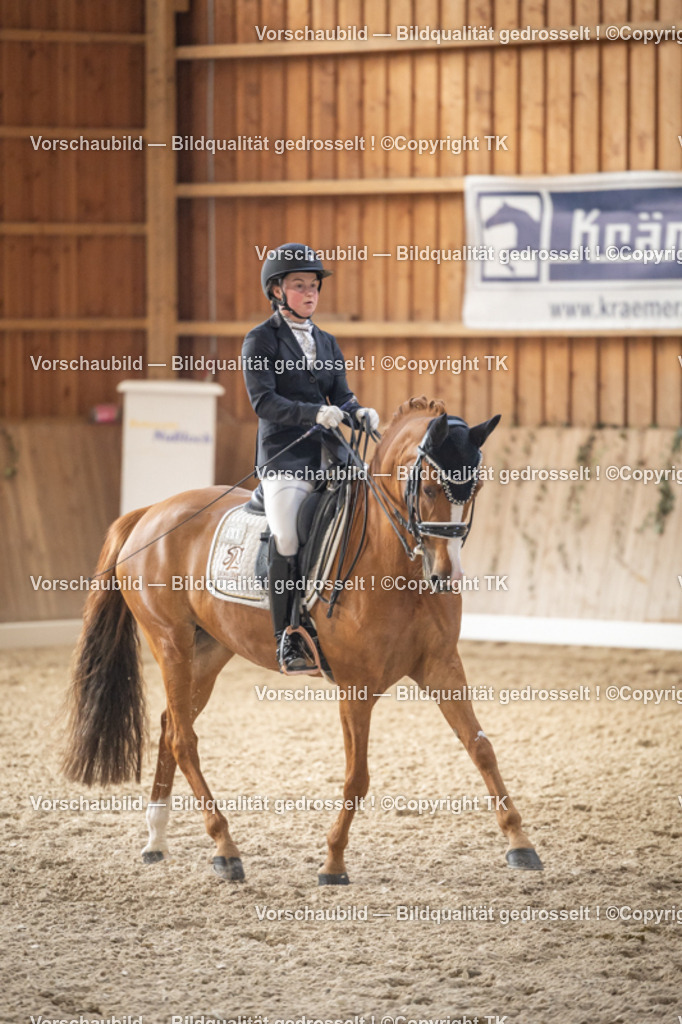 _D5A6114 | Emotionale Pferde- & People-Fotografie rund um Heidelberg, Leimen & Umgebung. Natürliche Fotos von Pferd, Mensch & Familie. Jetzt Termin sichern!