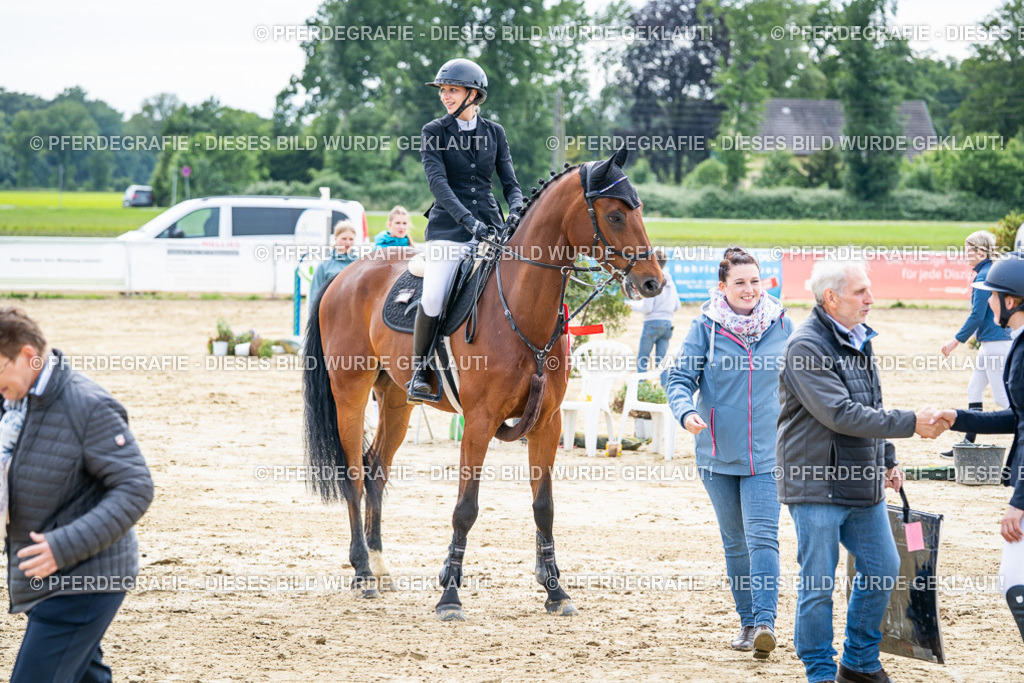 DSC05676 | Pferdegrafie