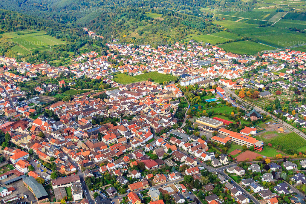 Luftbild: IGS Deidesheim-Wachenheim in Wachenheim an der Weinstraße im Bundesland Rheinland-Pfalz in Deutschland. Foto: IMG_34290.jpg vom 03.10.2010 durch Werner Riehm/FLY-FOTO.deIGS Deidesheim / Wachenheim