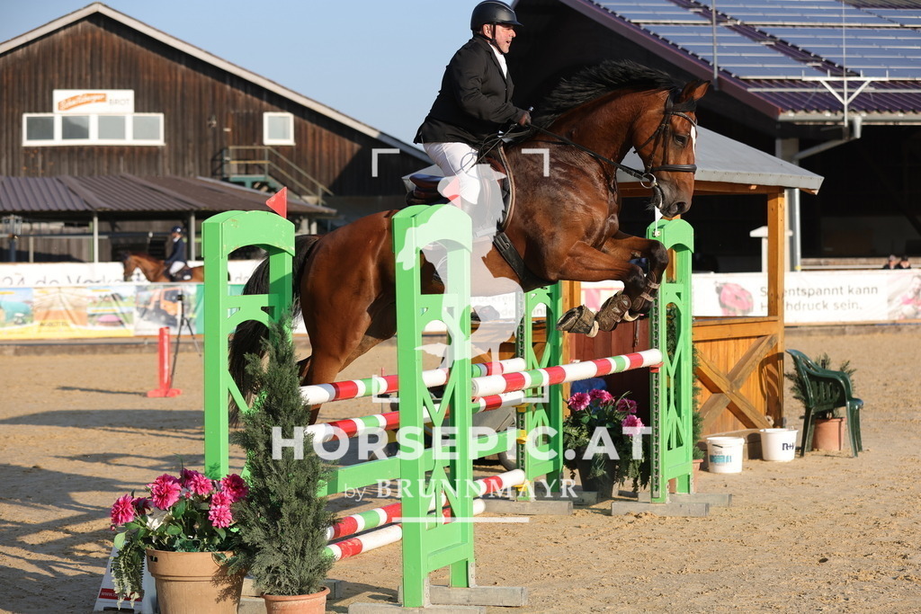0P6A3732 | Willkommen bei Brunnmayr - Design & Fotografie – Ihrem Spezialisten für Reitturniere und Pferdeveranstaltungen in Oberösterreich, Salzburg und Bayern! Seit über 17 Jahren sind wir leidenschaftlich dabei.