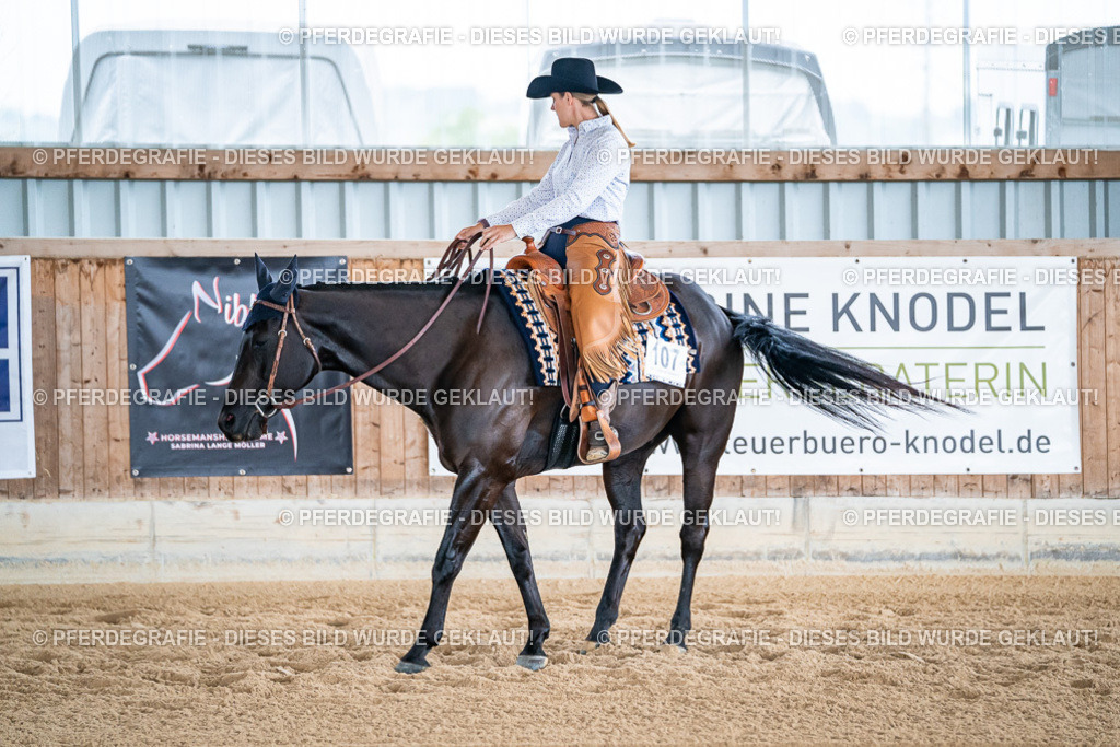 DSC08308 | Pferdegrafie