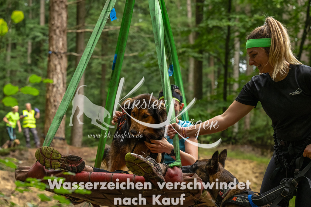 1316_ZZ92395-Bearbeitet | kk-dogfotos