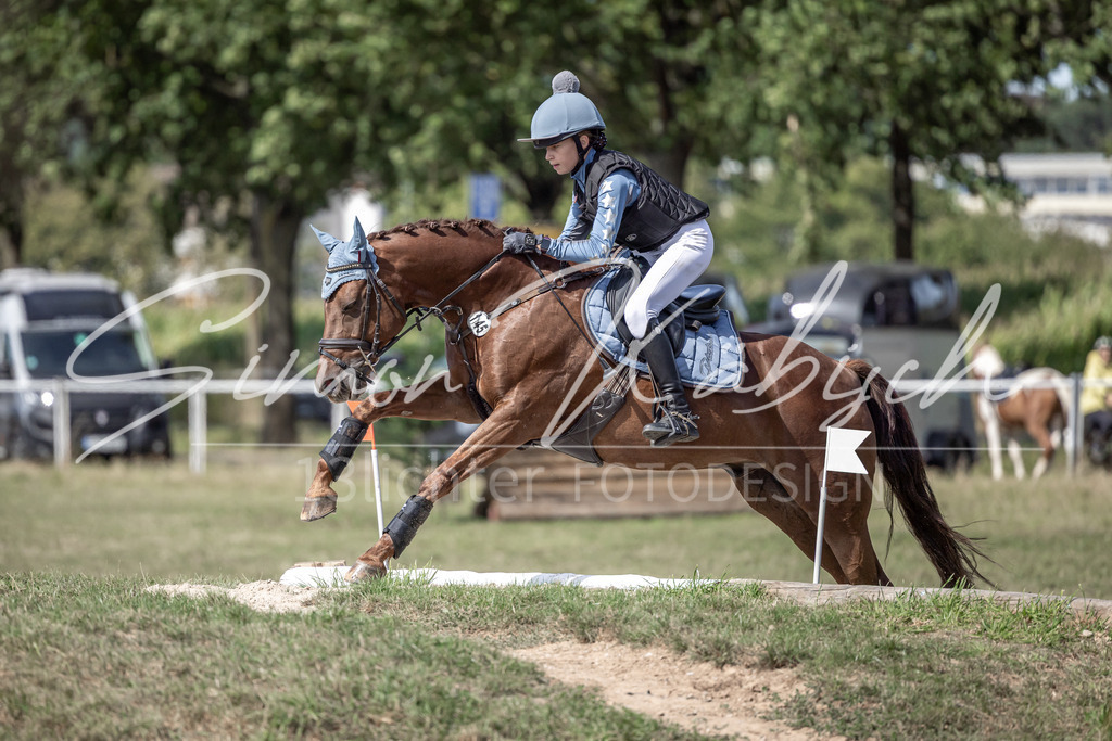 20250907-_3LI0075 | Tierfotografie Pferde, Hunde, Katzen, Haustiere.
Turnierfotografie Reitturniere, Reiten, Springreiten, Dressur in Hanau, dem Main-Kinzig-Kreis und dem Rhein-Main- Gebiet um Frankfurt