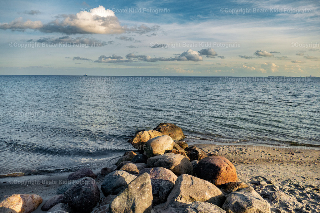 P1600221 | beatekidd-fotografie - Realisiert mit Pictrs.com