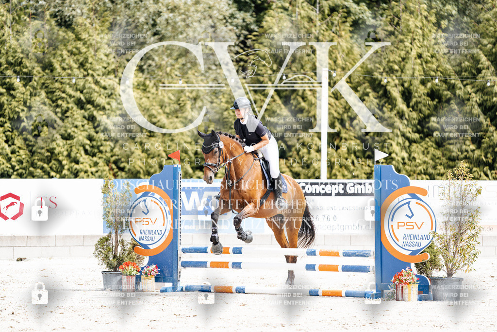 CK906509 | Turnierfotografie Pferdefotografie Trier Rheinland-Pfalz Pferdesport Reitsport Tierfotografie Sportfotografie Pferdevideo Pferdevideografie Equestrianvideography equestrianphotography  - Realisiert mit Pictrs.com