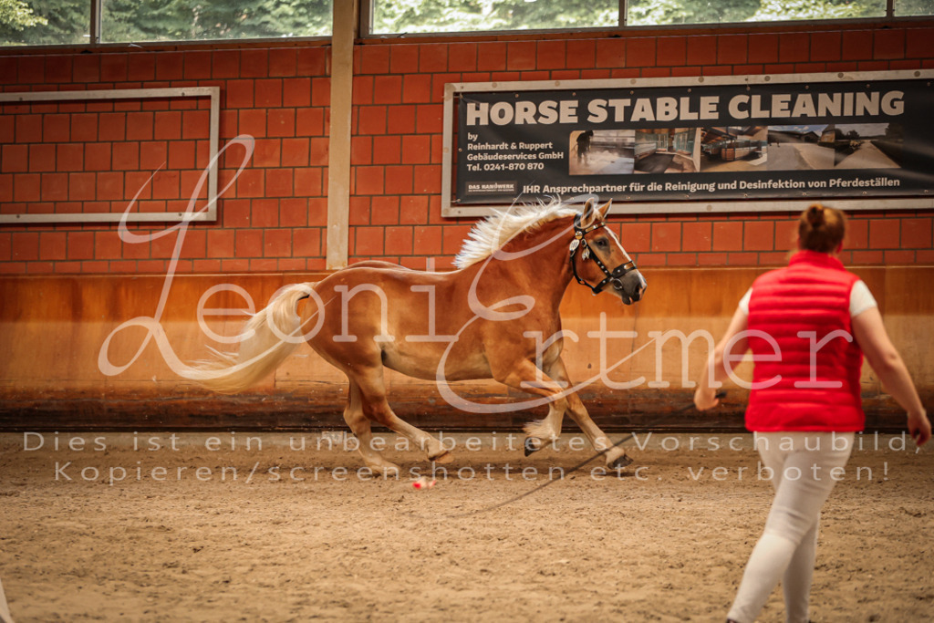 SaFL00236 | Leoni Ertmer Photography - Realisiert mit Pictrs.com