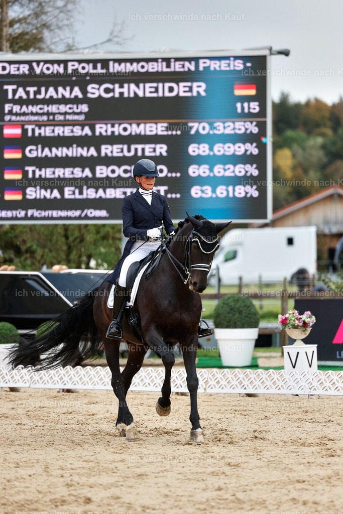10-115-ST.GEORG SPECIAL -StoibPH-3198 | working equitationturnier fotograf videograf stoibphotography marixx film working equitation deutschland reitsport turnierfotografie eventfotografie equestrian events