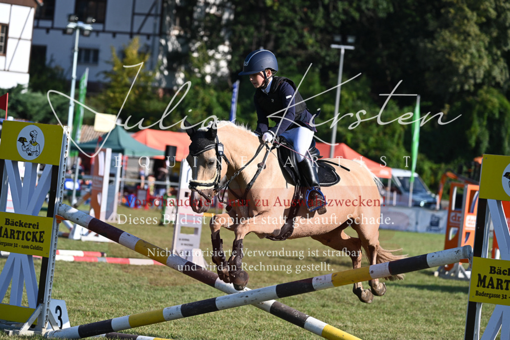 DSC_4725 | Pferde- und Turnierfotografie in Westsachsen. Pferdeportraits, Auftragszeichnungen und intuitive Kunst.