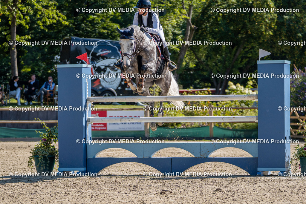 Hessische Tag 3-31 | dv-media-shop - Realisiert mit Pictrs.com