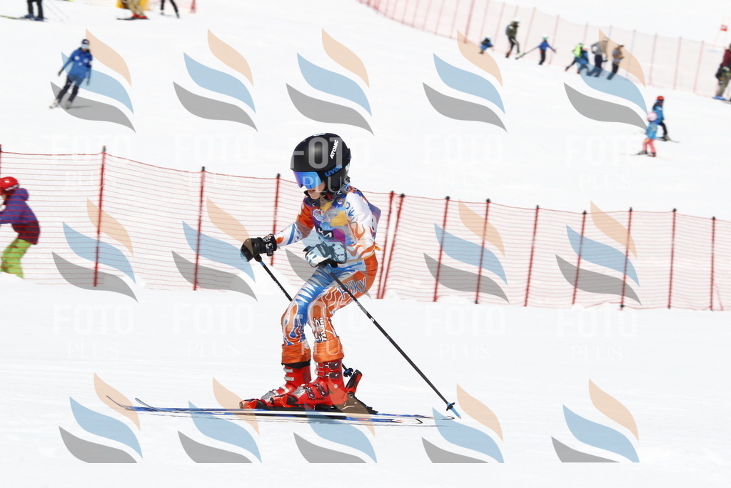 _U3G5708 | holidayphoto