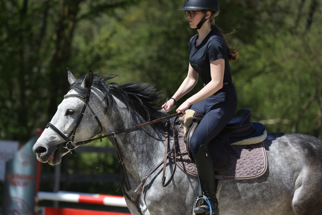 0P6A8867 | Willkommen bei Brunnmayr - Design & Fotografie – Ihrem Spezialisten für Reitturniere und Pferdeveranstaltungen in Oberösterreich, Salzburg und Bayern! Seit über 17 Jahren sind wir leidenschaftlich dabei.