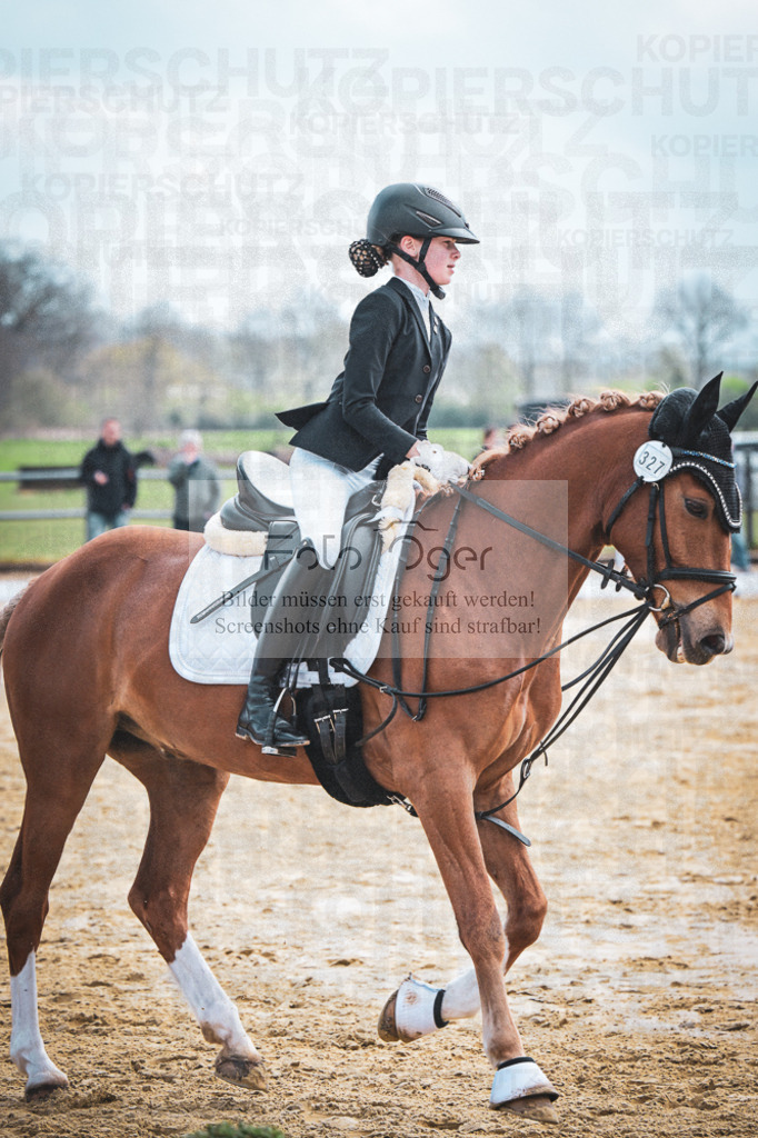 DOS_6535 | Entdecke hochwertige Reitturnierfotos von Foto Oger. Professionell, emotional und authentisch – jetzt Lieblingsmomente im Shop bestellen.Deutschlandweite Turnierfotografie. - Realisiert mit Pictrs.com