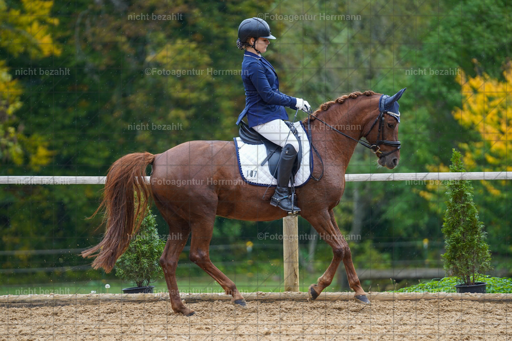 20221008-FAH01834 | Diessen am Ammersee, 2022, Dressur- und Springturnier, Reitsportbilder, Turnierfotografen Bayern, Pferdefotografen, Fotoagentur Herrmann, Turnierbilder