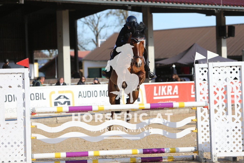 DL2Q3628 | Willkommen bei Brunnmayr - Design & Fotografie – Ihrem Spezialisten für Reitturniere und Pferdeveranstaltungen in Oberösterreich, Salzburg und Bayern! Seit über 17 Jahren sind wir leidenschaftlich dabei.