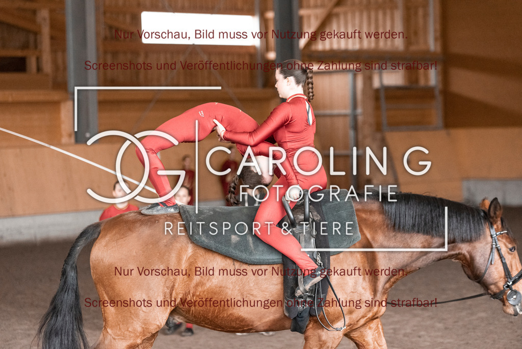 DSC_2069 | Turnierfotografin Carolin Gieschke,Reitsport Turnierfotografie Carolin G Fotografie | Turnierfotos aus Kirchheim/Teck, Esslingen, Stuttgart und dem Bodenseekreis