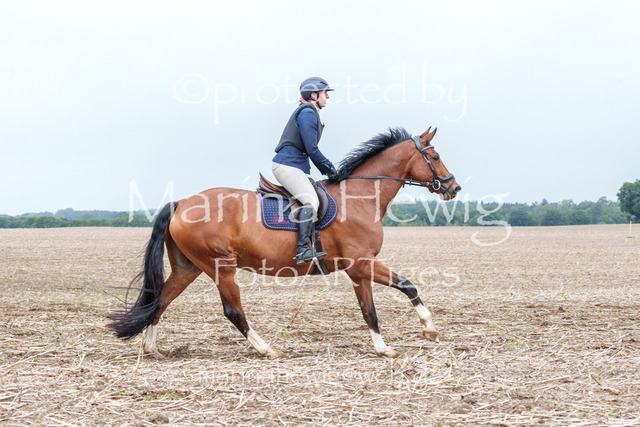 Jagd Perdoel 26 Sony-03351_MarinaHewig | Fotografie, FotoArt, PferdesportArt, Pferdesportfotografie, Landschaftsfotografie, Reisefotografie, Reise, Pferde - Realisiert mit Pictrs.com