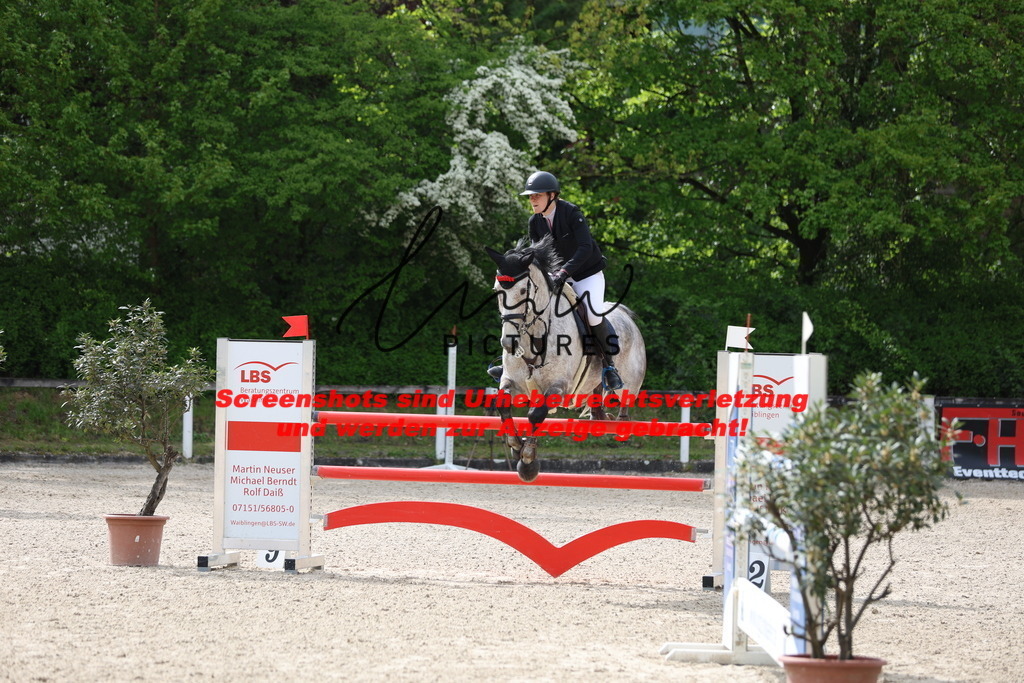 A40A5071 | lmwpictures - Realisiert mit Pictrs.com