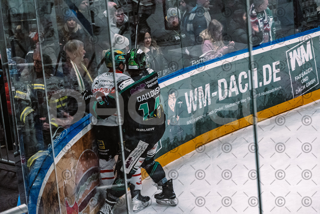 Alligators_vs_Toelz_15_02_2026-25 | Höchstadt Alligators Fotogalerie: Eishockey-Action aus Franken. Professionelle Spielfotos, Portraits & Stadionbilder zum Download. Jetzt entdecken! - Realisiert mit Pictrs.com