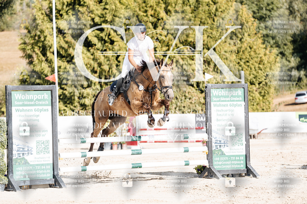 CK909162 | Turnierfotografie Pferdefotografie Trier Rheinland-Pfalz Pferdesport Reitsport Tierfotografie Sportfotografie Pferdevideo Pferdevideografie Equestrianvideography equestrianphotography  - Realisiert mit Pictrs.com