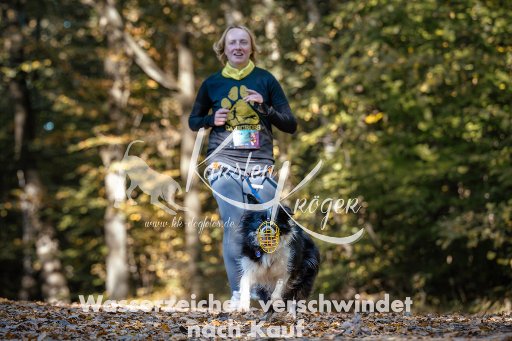 1137_ZZ92849 | kk-dogfotos