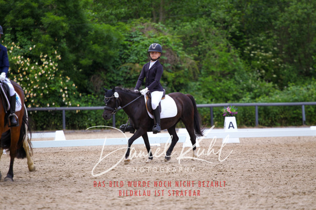 DKP46271 | Turnierfotos kaufen im Webshop von Daniel Kuhl Photography – entdecke professionelle Reitsportfotos aus Turnieren & Events. Hochwertige Turnierbilder online bestellen & sichern. Jetzt Fotos von Reitsportturnieren kaufen!