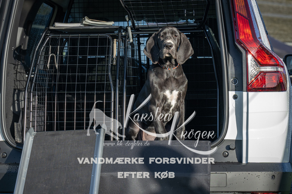 0926-90110 | kk-dogfotos