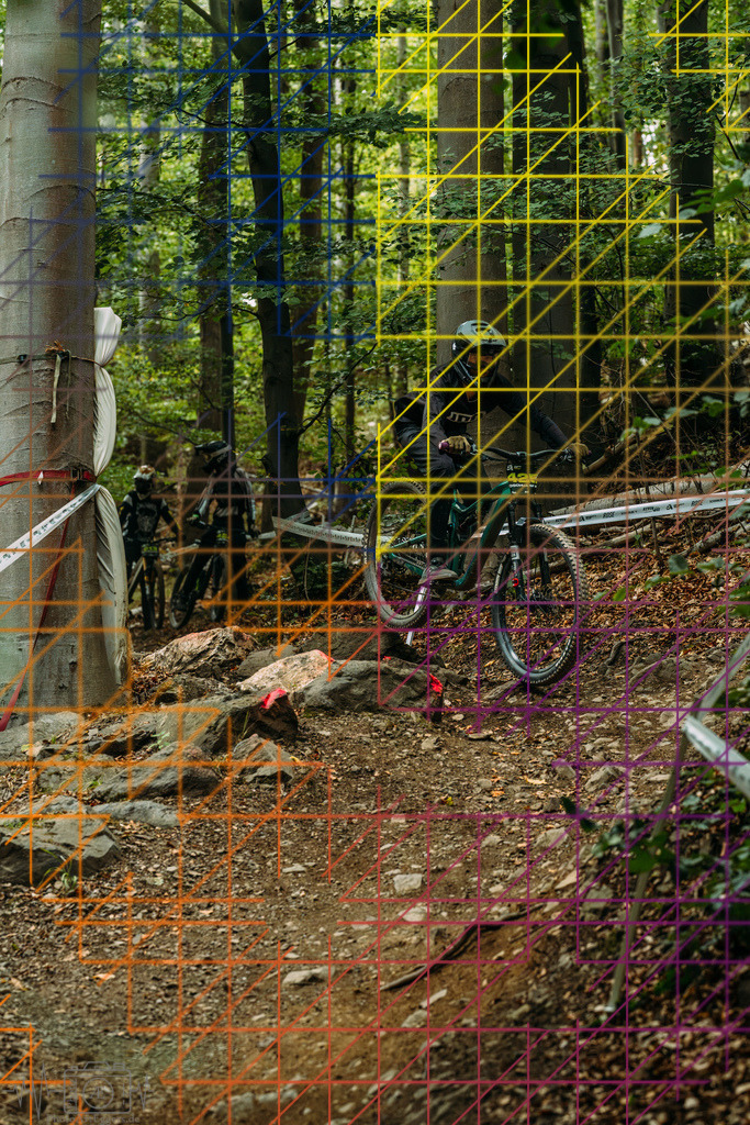 PAE-1010 | Einzigartige Fotokunst für dein Zuhause: Entdecke hochwertige Wandbilder, edle Prints und emotionale Motive von Wildlife, Natur und Landschaften - Realisiert mit Pictrs.com